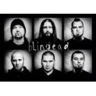 Koncert Blindead w Gdyni - 05-09-2015