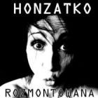 Koncert Honzatko Rozmontowana w Krakowie - 16-06-2011