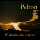 Koncert Pelton w Paleśnicy - 20-06-2014