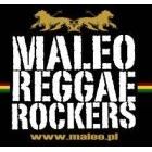 Koncert Maleo Reggae Rockers w Warszawie - 26-02-2017