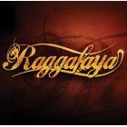 Koncert Raggafaya w Swarzędzu - 10-01-2016