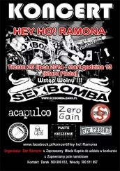 Koncert Hey Ho! Ramona w Trzcielu - 26-07-2014