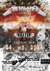 Koncert Noc Fanów Metallica w Poznaniu - 24-01-2014