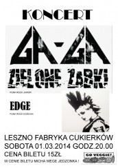 Koncert GA GA / ZIELONE ŻABKI w Lesznie - 01-03-2014