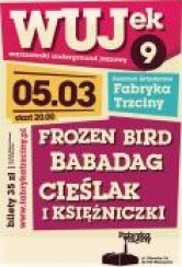 Bilety na WUJek Festiwal - Frozen Bird, Babadag, Cieślak i Księżniczki