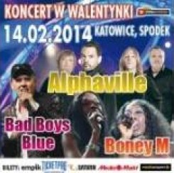 Bilety na koncert Discotex: Bad Boys Blue, BoneyM i Alphaville (koncert w walentynki) w Katowicach - 14-02-2014
