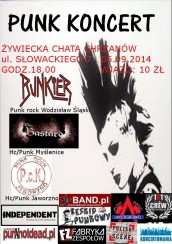 Punk koncert w Chrzanowie - 06-09-2014