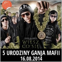 Koncert GANJA MAFIA - V URODZINY w Zabrzu - 16-08-2014