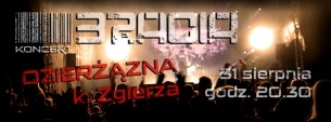 Koncert BRACIA - Dzierżązna k. Zgierza - 31-08-2014