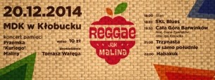 Reggae Jak Malina - koncert pamięci Przemka \'Kuriego\' Maliny w Kłobucku - 20-12-2014