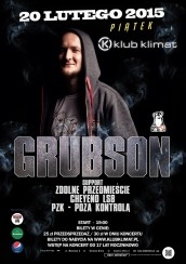 Koncert Grubson w Bielsku-Białej - 20-02-2015