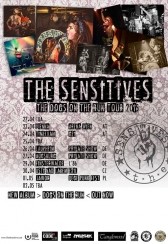 Koncert The Sensitives w Jaworze - 01-05-2015