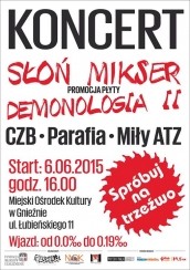 Koncert "Spróbuj na trzeźwo" w Gnieźnie - 06-06-2015