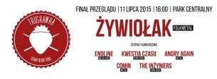 Koncert Truskawka: Żywiołak + Endline + Kwestia Czasu + Angry Again + Comin + The Inżyniers w Świdnicy - 11-07-2015
