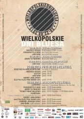 Koncert Wielkopolskie Dni Bluesa w Lusowie - 22-08-2015