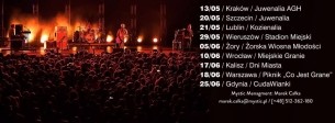 Koncert ORGANEK w Kaliszu - 17-06-2016