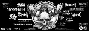 Koncert Punk Piknik w Tyśmienicy - 13-08-2016