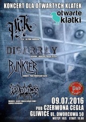 Koncert dla Otwartych Klatek w Gliwicach - 09-07-2016