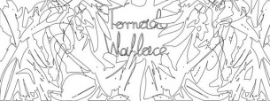 Koncert Wolno Marzyć #2: Tornado Wallace (Beats in Space, ESP) w Krakowie - 17-06-2016