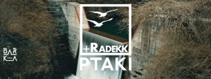 Koncert Ptaki + Radekk na Barce w Warszawie - 22-07-2016