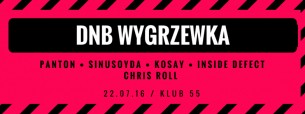Koncert Kosay, Sinusoyda, Panton, INSIDE DEFECT, Chris Roll w Warszawie - 22-07-2016