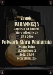 Koncert w Mszanie Dolnej - 28-10-2016