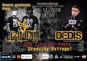 Koncert Bezimienni/Dedis Gliwice - 25-11-2016