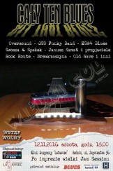 Koncert Wielki Gul w Będzinie - 12-11-2016