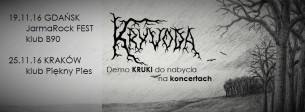Koncert Kryvoda w Gdańsku - 19-11-2016