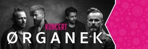 Koncert Ørganek w Kutnie - 09-02-2017