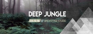 Koncert Deep Jungle / Sublimacja & Warsaw Jungle Massive w Warszawie - 23-12-2016