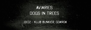 Koncert Aviaries | Dogs in Trees - 19.02 - Gdańsk - 19-02-2017