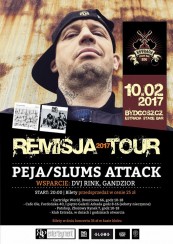 Koncert Peja/Slums Attack 10/02/17 Bydgoszcz Estrada Stage Bar REMISJA TOUR 2017 - 10-02-2017