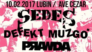 Koncert Sedes / Defekt Muzgó / Prawda w Lubinie - 10-02-2017