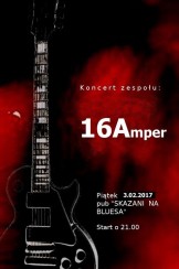 Koncert w Sieradzu! - 03-02-2017
