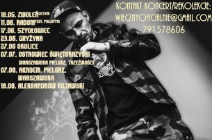Koncert WIECZNY w Aleksandrowie Kujawskim - 19-08-2017
