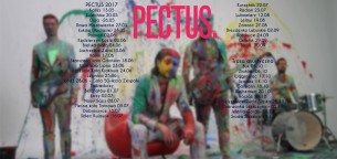 Koncert Pectus w Łodzi - 28-06-2017