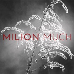 Milion Much & Gentle Blow Koncert w Chrzanowie - 10-06-2017