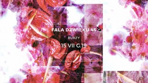 Koncert Fala dźwięku #45 w Warszawie - 15-07-2017