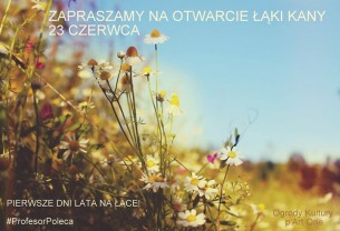 Otwarcie Łąki Kany - koncert Curcumy i rozpoczęcie lata w Szczecinie - 23-06-2017