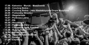 Koncert Ga Ga Zielone Żabki w Żorach - 13-08-2017