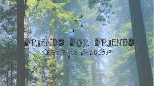Koncert Friends for Friends 2017 w Krzeszyce - 18-08-2017