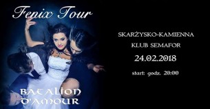 Koncert FENIX TOUR - Batalion d'Amour w Semaforze! w Skarżysku -Kamiennej - 24-02-2018