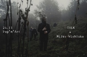 Koncert SALK + Milky Wishlake / Pillow Sessions w Pop'n'Art w Łodzi - 24-11-2017