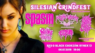 Koncert Silesian Grindfest - SPASM, Nuclear Vomit, VxPxOxAxAxWxAxMxCx. w Chorzowie - 06-01-2018