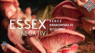 Koncert Essex x Negativ w Sercu w Krakowie - 08-12-2017