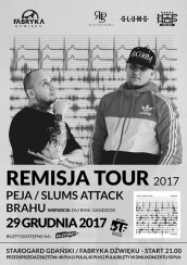 Koncert Peja / Slums Attack x Brahu / Remisja Tour 2017 / 29/12/17 w Starogardzie Gdańskim - 29-12-2017