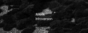Koncert Revive with Amotik + Introversion (ARTS) w Warszawie - 26-01-2018