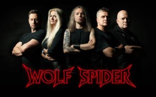 Koncert Wolf Spider (Wilczy Pająk) w Fanaberii w Ostrowie Wielkopolskim - 27-01-2018