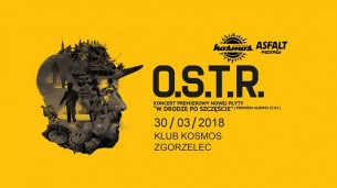 Koncert OSTR W drodze po szczęście w Zgorzelcu - 30-03-2018